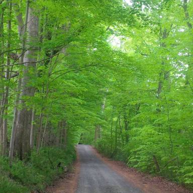 11013197_959356937428286_8235895958467587998_o