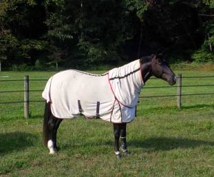 1277941_834607213236593_7839278125584914705_o