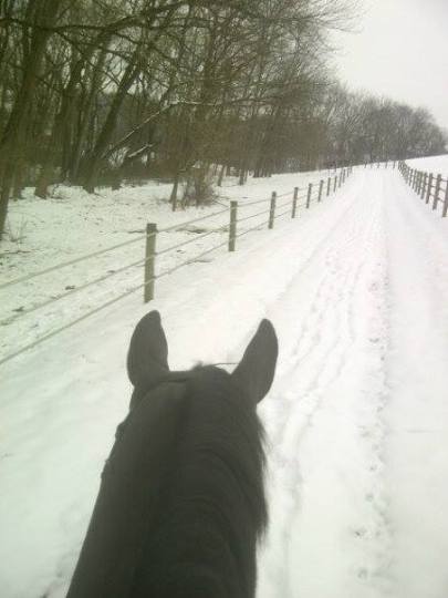 1471197_683231755040807_1221855405_n