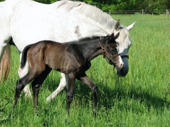 1914058_520149484515_1802470_n