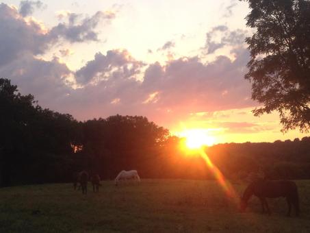 1962096_724064517155_7732735131683571110_o